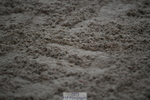 240214A-155453-00879