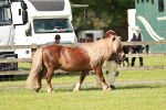 SBM_01806