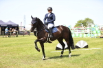 SBM_04062