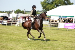 SBM_17575