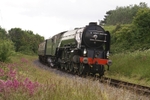 T1040