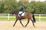 SBM_003501