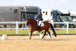 SBM_011437