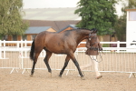 SBM_07753