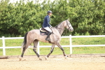 SBM_006153