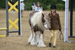 WJ6_8039