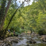 Dartmoor