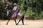 WJ6_8747