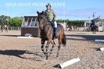 BPP_8548