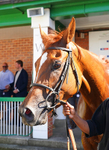 240726-Race 5-Zooella-01712