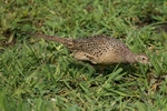 20110425-IMG_5039