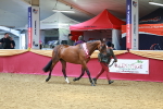SBM_04430