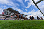 210826-Race 4-Bacio-5652