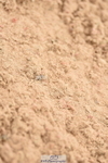 230813A-115510-12169