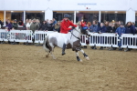 SBM_003921
