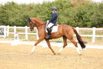 SBM_012306