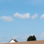 House and tree, hiding