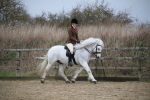 SBM_006015