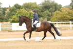 SBM_000772