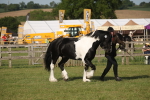 SBM_10369