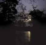 Trees-Lake