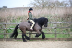 SBM_006105