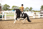 SBM_00296