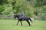 WJ6_3467