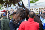 130526-Race 4-Elmonjed-3112
