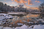 Salt Marsh Dusting
