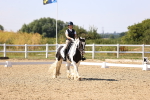 SBM_006565