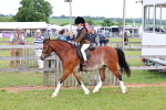 SBM_08579
