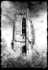 Beverley Minster 2 - IR