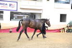 SBM_24764