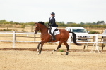 SBM_002044