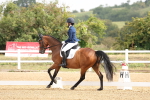 Class 6 - Novice 6 - 9.30-10.12 portfolio