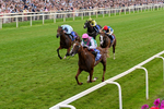 250726-Race 3-Item-0824
