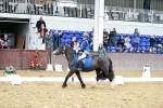 SBM_010167