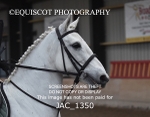 JAC_1350