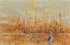 Heron