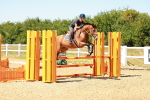 SBM_006820