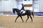 SBM_001333