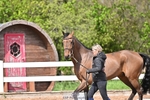 260422-150004-01753