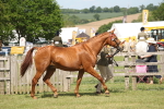 SBM_09067
