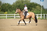 SBM_007853