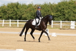 SBM_000497