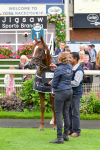 230923-Race 2-Palamon-6120
