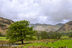 Lake District portfolio