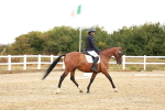 SBM_001611