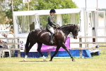 SBM_15031